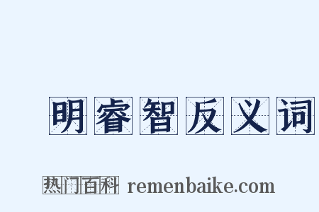 聰明睿智反义词是什么意思的图片